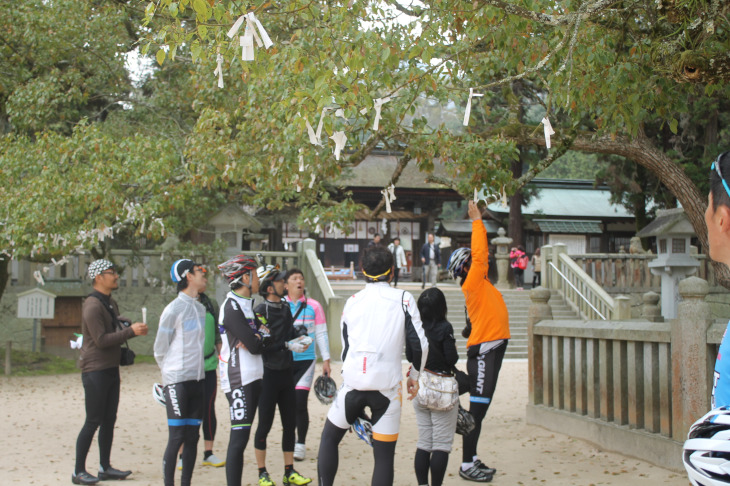おみくじを境内の樹に結び付ける(ちなみに20人中5人凶でした)
