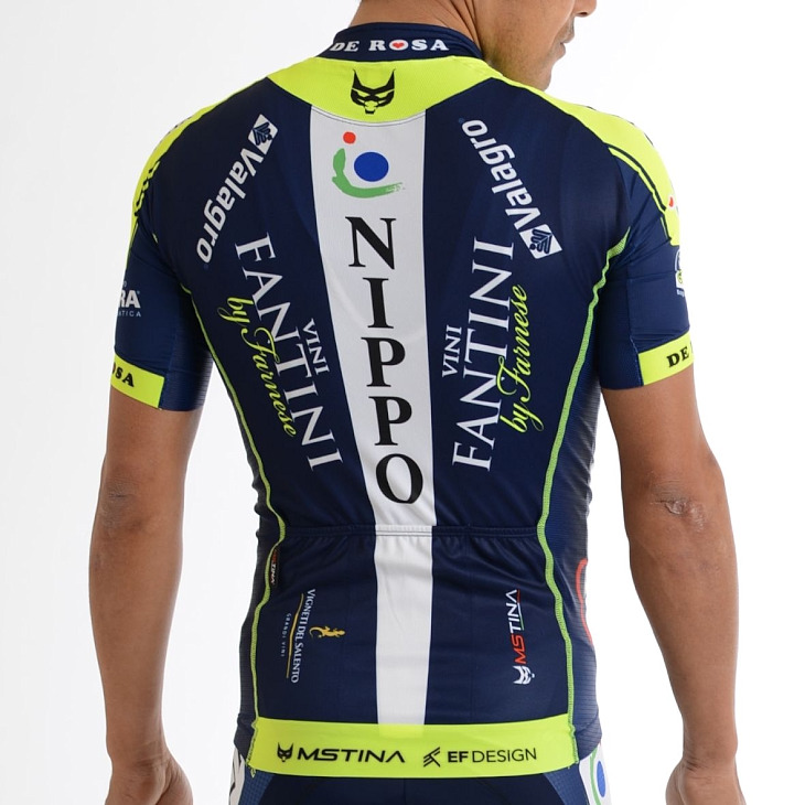 MSティナ サイクルジャージ2014 TEAM NIPPO