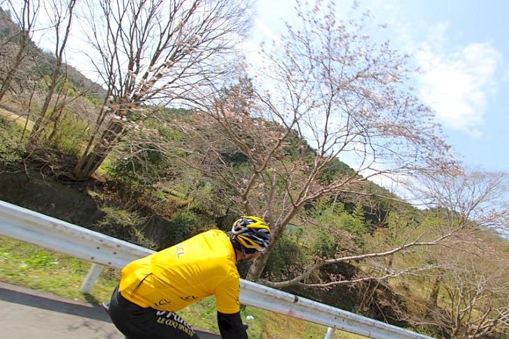 新芽を育む樹々から春の匂いが漂ってきます。