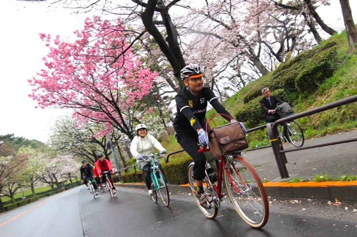 ベルギー大使館から千鳥ヶ淵へ。満開の桜が迎えてくれた