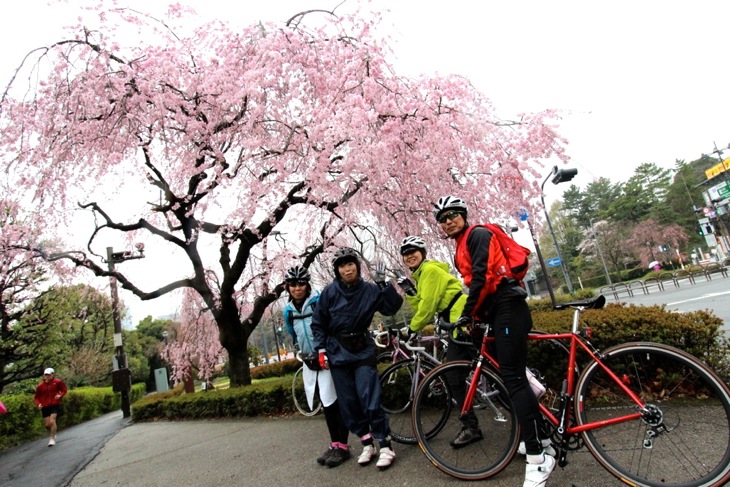 千鳥ヶ淵の桜では記念撮影する参加者も