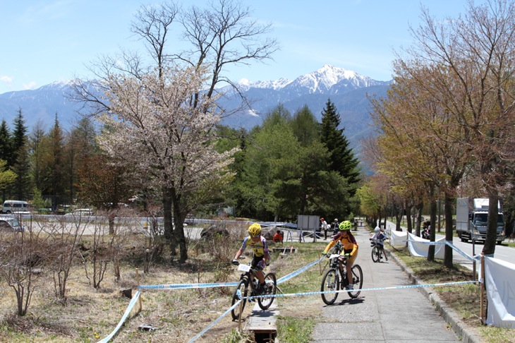 清らかな空気を味わえる長野県富士見町の富士見高原スキー場