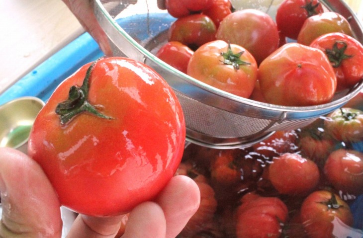 新鮮なトマトが提供されるエイド