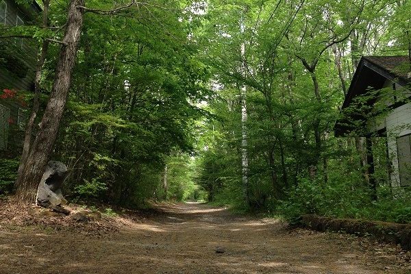 嬬恋村の別荘地で見つけた雰囲気ある林道