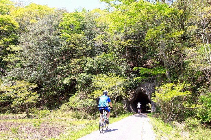 緑の壁にぽっかりと空いた、小さな小さな素掘り隧道。周囲には無数にあって、これを巡るのも楽しい