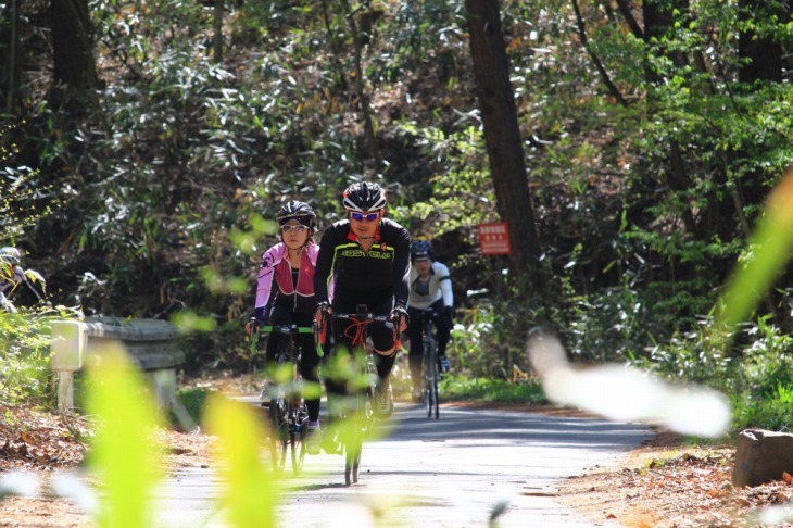 標高100mの林道は心地よい