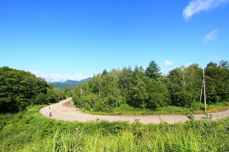 等間隔を保って下っていく参加者たち。自転車ならではの光景