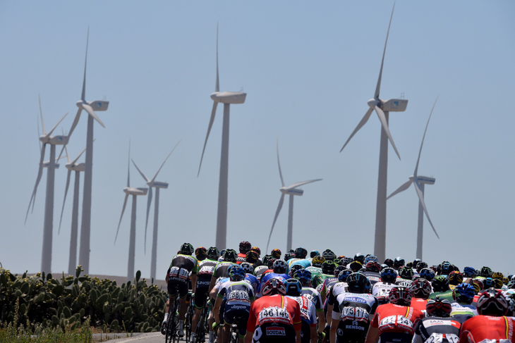 風力発電の風車は風の強い地域の証