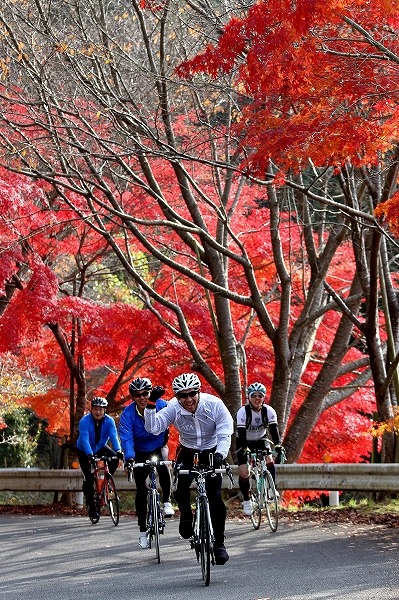 紅葉が美しい山添コース