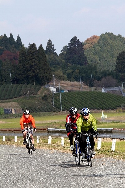 山添村にひろがる茶畑も美しい風景