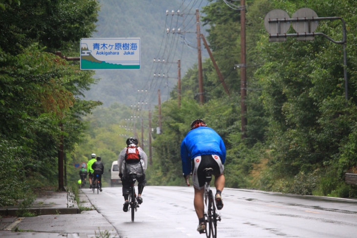 かの有名な「青木ヶ原樹海」のただ中を走る