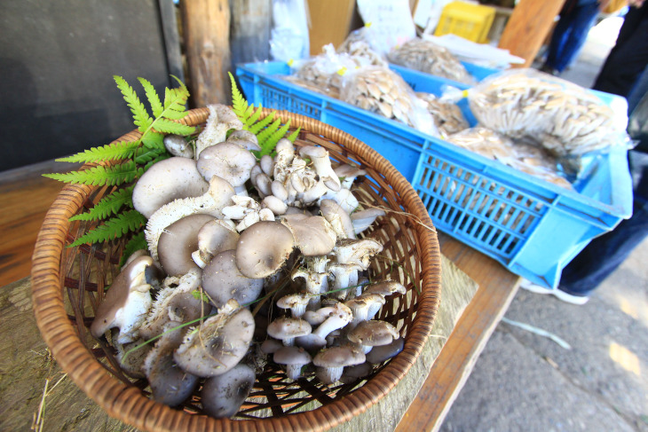 沿道の農家では立派なしめじが売られていた