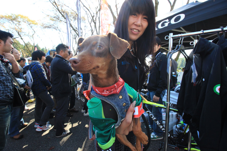 新城幸也の愛犬コリンちゃんも大人気