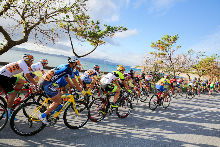 市民210km スタート7km地点