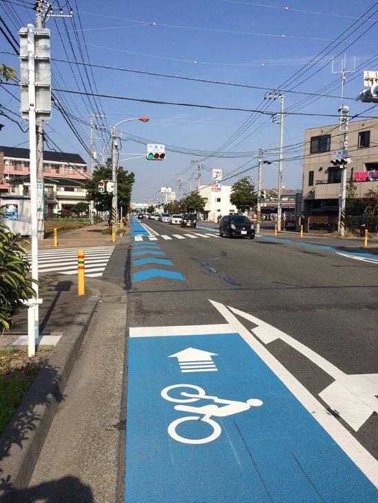 イベント直前の11月14日に延伸された県道45号線の自転車レーン。茅ヶ崎チャリティライドの参加者の多くがここを走った。