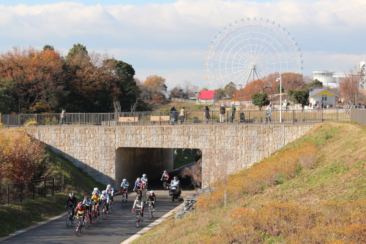 コースの途中には立体交差も