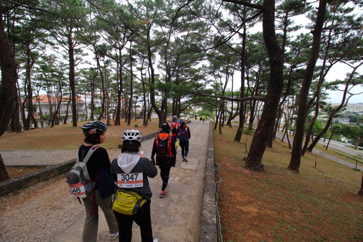 城壁にいたるまでの琉球松も風流があり何時間でも見ていられる