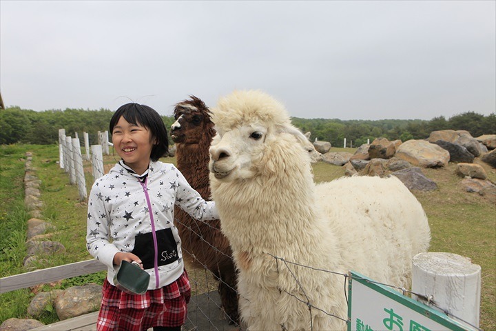 ミニ那須どうぶつ王国がやってくる