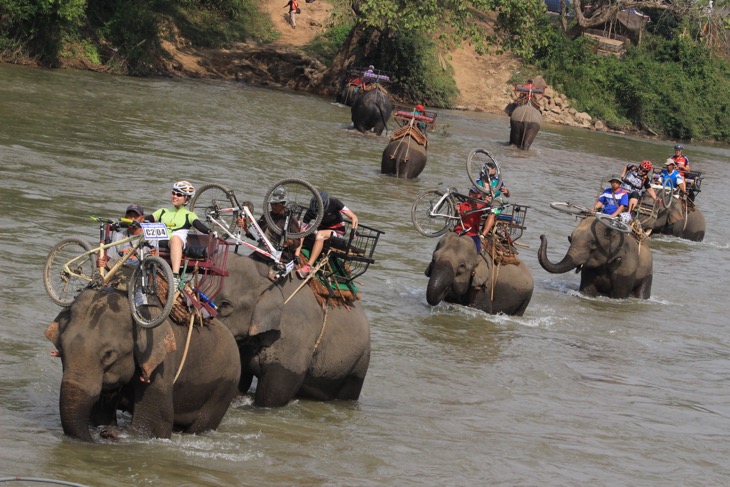 人気のリエゾン、象に乗って川を渡る