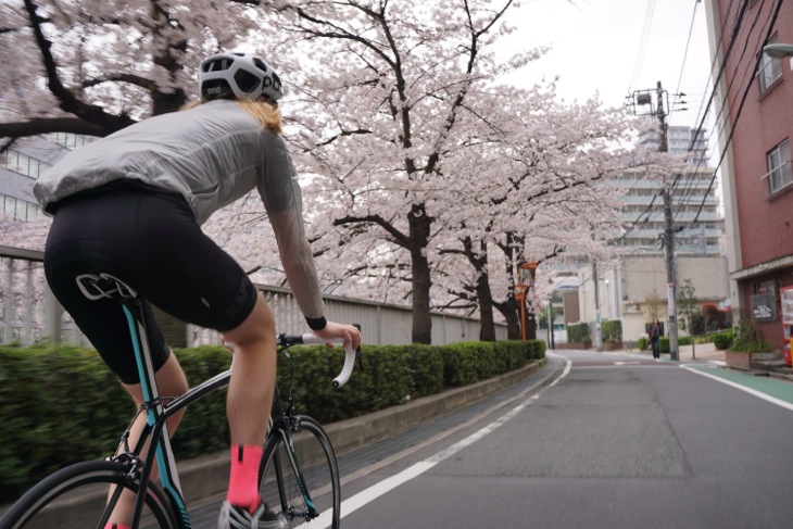 目黒川沿いの桜並木を駆け抜ける