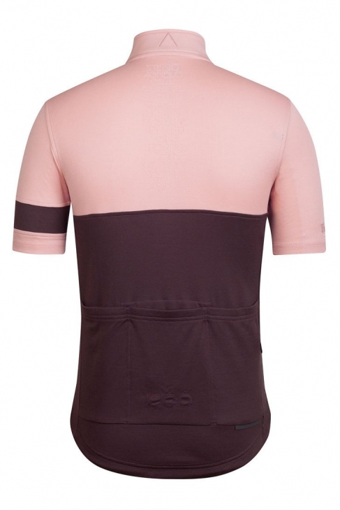 Rapha Cima Jersey(背面)