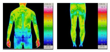 肩甲骨周り、大腿部などシリコンプリントが施されたところの温度が上昇していることがわかる（赤色が温度が高い場所）