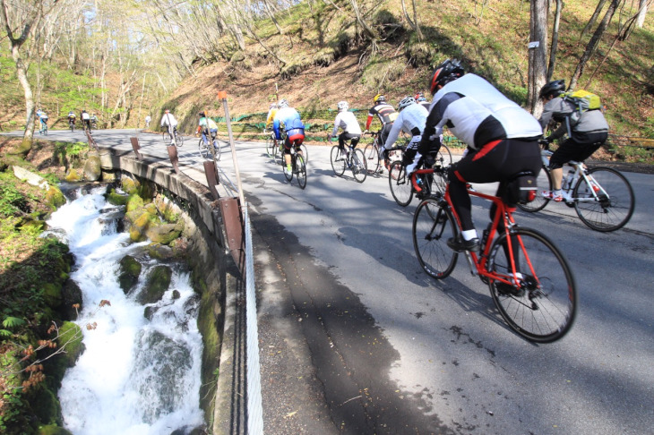 沿道にはせせらぎが心地よい川が現れる