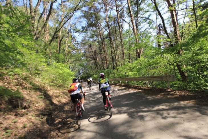 第4エイドから軽井沢への帰路には、木漏れ日の林道が沢山登場しました