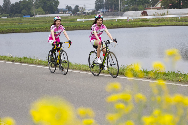 菜の花や水がはられた田んぼで初夏の到来を感じられた