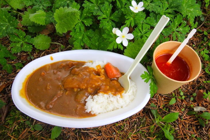 昼食は軽井沢タリアセン特製の信州鹿肉ジビエカレーとベジタブルジュース