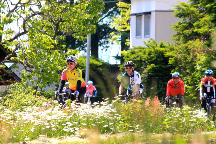 道端に咲き誇る花々と暖かい日射し包まれて走ります。絶好のサイクリング日和になりました。