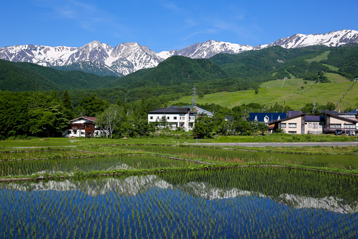 会場付近は朝から絶景が広がる