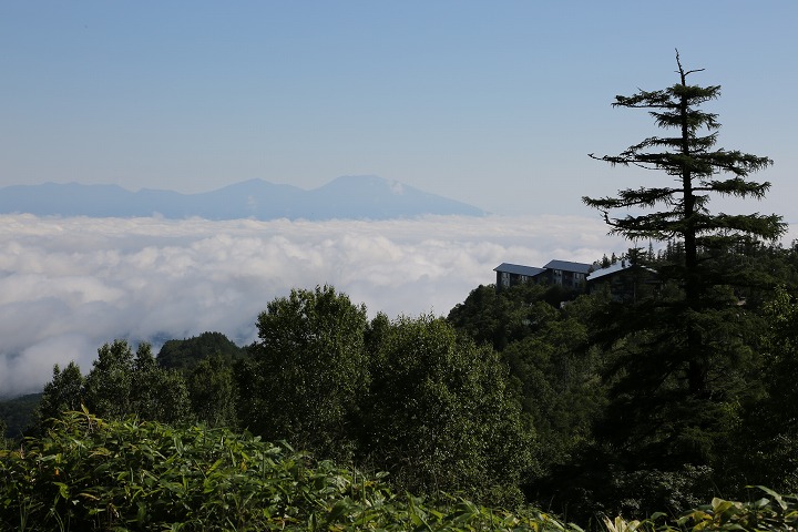 途中「天空」のような景色に出会いました