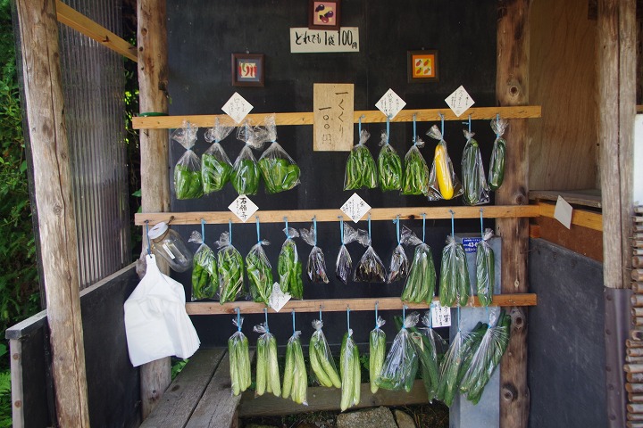 浄瑠璃寺の周りに売られていたつるし野菜。この他にお茶も販売されている
