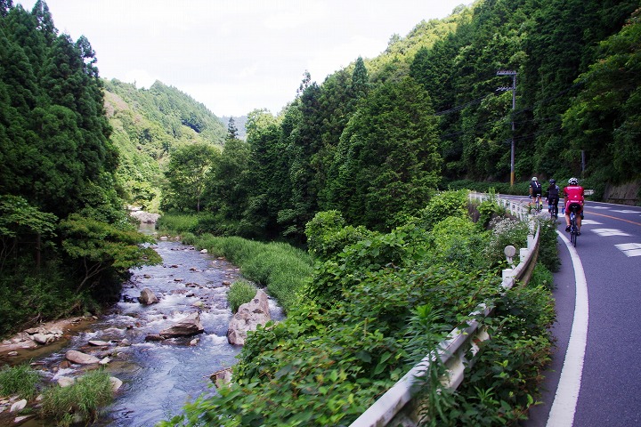 川沿いと自然に囲まれた気持ちのいい道は随所に茶畑が現れる
