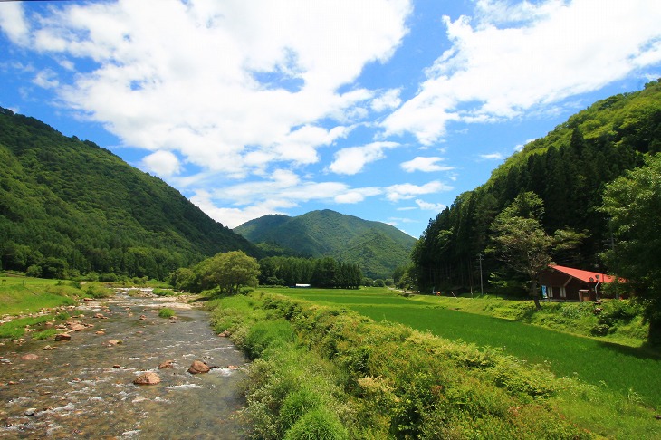 薄暗い穴蔵のような編集部からこんな風景に抜け出したいと思うことを誰が責められようか。