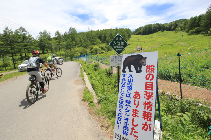 「熊の目撃情報がありました。」