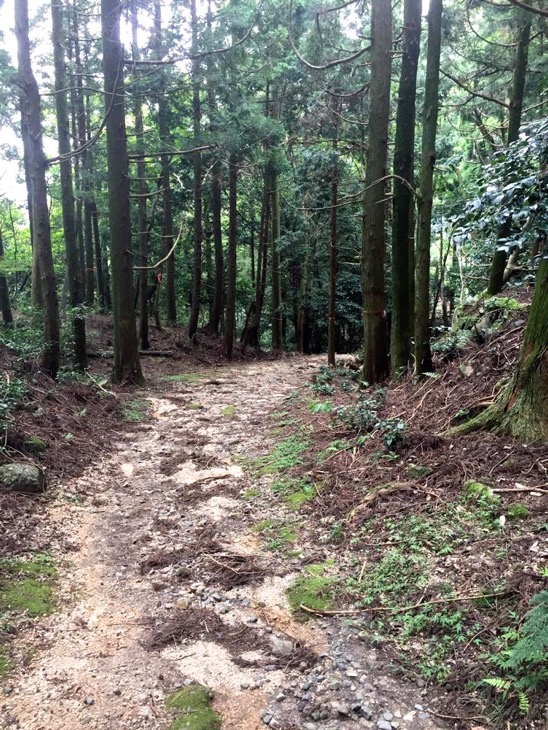鈴鹿峠 こんな山道を自転車を担いで歩く