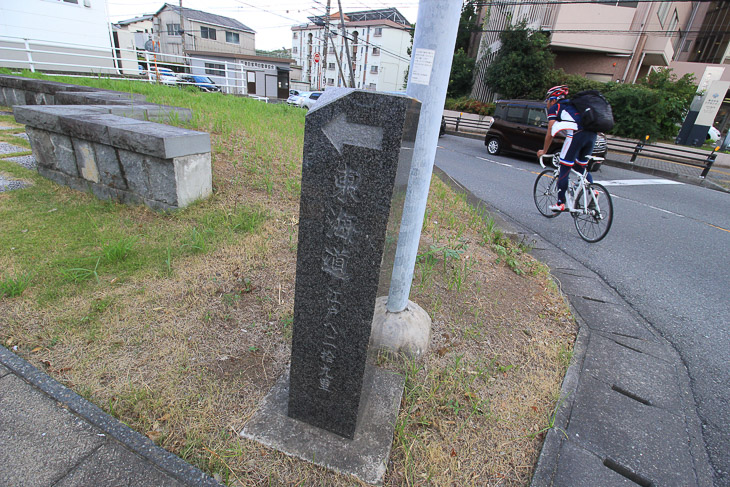 東海道はこちらの標識は助かるが、こういった区間は難易度が高い