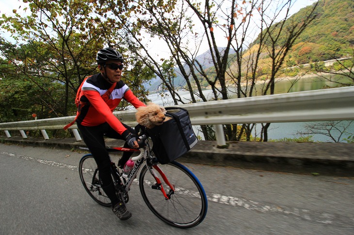 犬を乗せて丹沢湖の周りを走っていく！