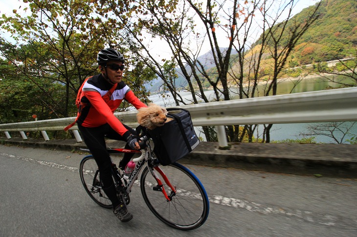 犬を乗せて丹沢湖の周りを走っていく!