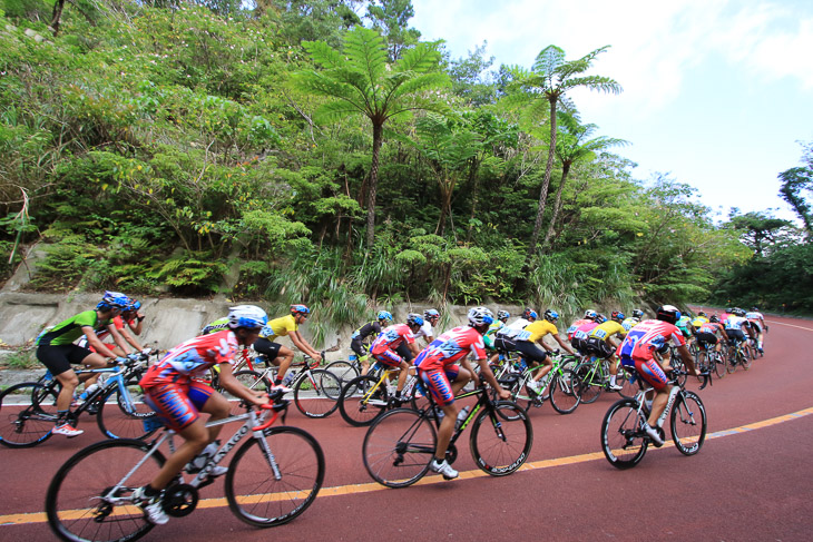 亜熱帯のジャングルを行くジュニア国際140kmのメイン集団