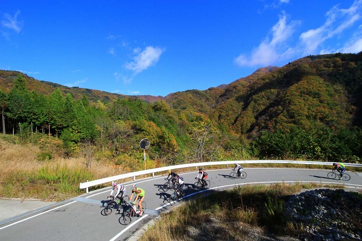 山の中の空気を味わいながら標高を上げていく