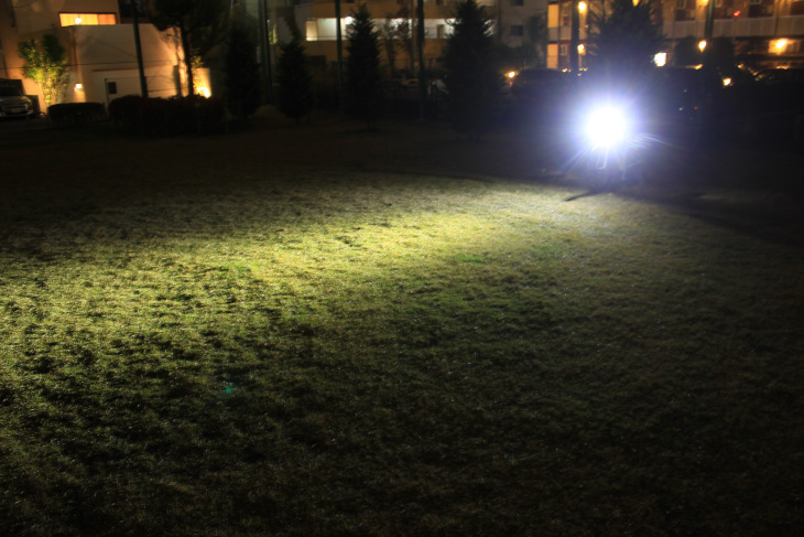 芝の目もはっきりと見えるほど強い光が照射されている