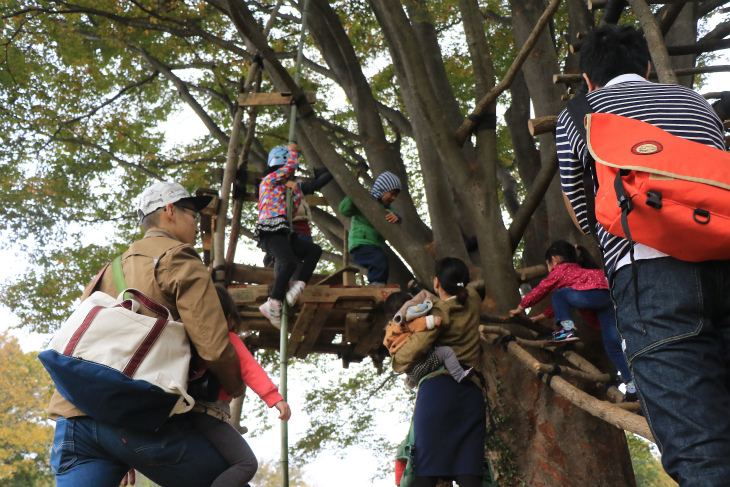 広場には特設ツリーハウスも。子ども達が夢中で木登りを楽しんでいた