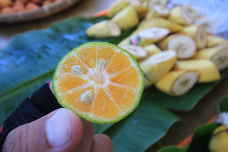 沖縄のレモン「シークワーサー」は爽やかな酸っぱさ