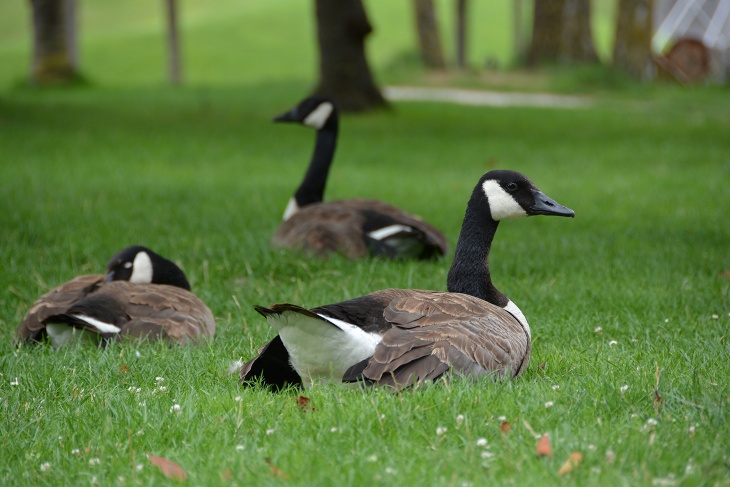 パリ花公園でひとやすみ