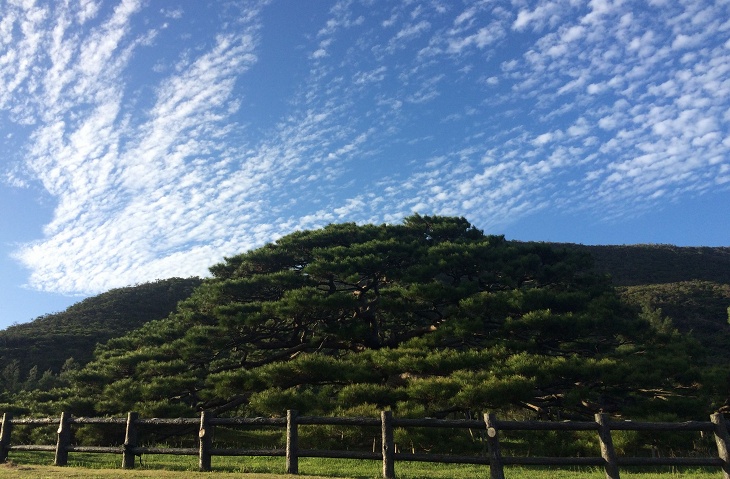 翌日も快晴!青い空がどこまでも広がっています。