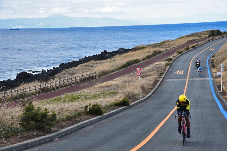 伊豆大島の北東部海岸線沿いに走る「サンセットパームライン」
