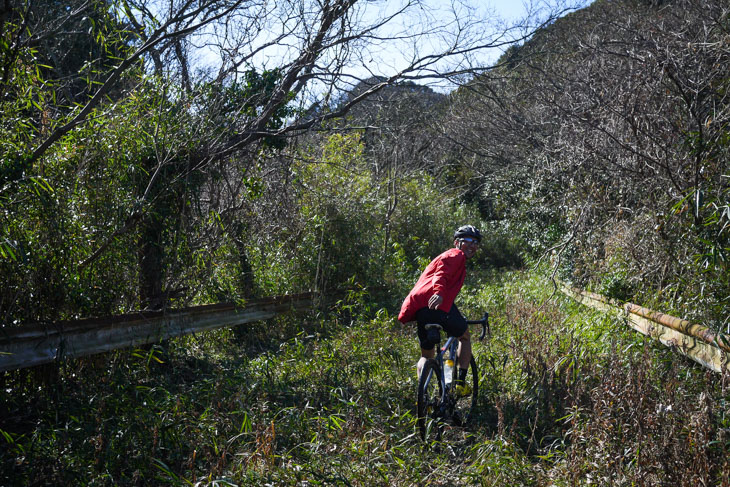 山奥の忘れ去られた未成道。錆びたガードレールだけが車道だったことを主張する